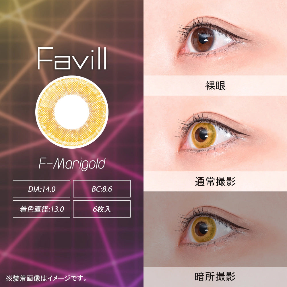 ASSIST CHOUCHOU FAVIL 1DAY F-MARIGOLD(1BOX 6SHEETS) 1