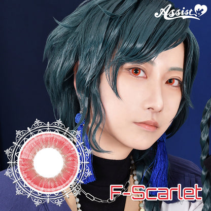 ASSIST CHOUCHOU FAVIL 1DAY F-SCARLET(1BOX 6SHEETS) MAIN IMAGE