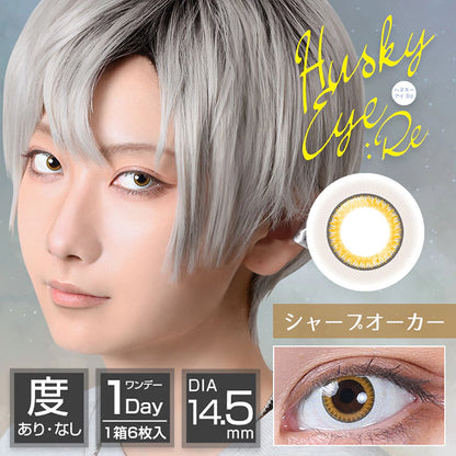 ASSIST CHOUCHOU HUSKY EYE:RE 1DAY SHARP OCHER(1BOX 6SHEETS) MAIN IMAGE