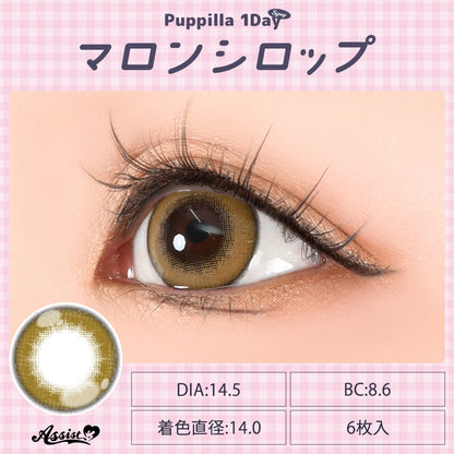 ASSIST CHOUCHOU PUPPILLA SYRUP 1DAY MARRON SYRUP(1BOX 6SHEETS) 0
