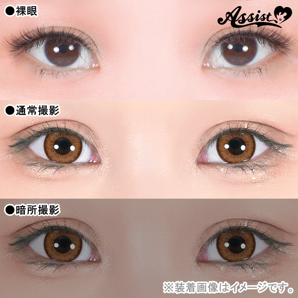 ASSIST CHOUCHOU SHUTELLA 1DAY FLAT CHOCO(1BOX 6SHEETS) 0