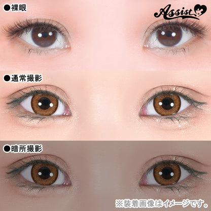 ASSIST CHOUCHOU SHUTELLA 1DAY FLAT CHOCO(1BOX 6SHEETS) 0