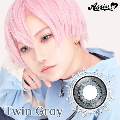 ASSIST CHOUCHOU TWINLOOPNEO 1DAY TWIN GRAY(1BOX 6SHEETS) MAIN IMAGE