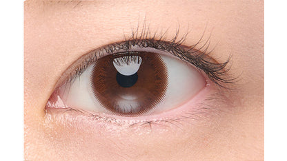 ARTIRAL UV & MOIST58 BROWN 1DAY(1BOX 10SHEETS) 0