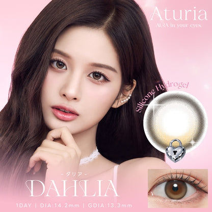 ATURIA 1DAY DAHLIA(1BOX 10SHEETS) MAIN IMAGE