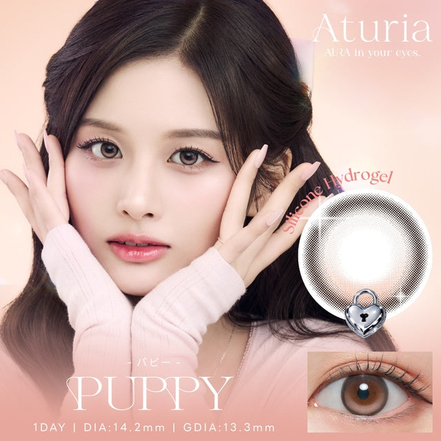 ATURIA 1DAY PUPPY(1BOX 10SHEETS) MAIN IMAGE