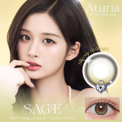 ATURIA 1DAY SAGE(1BOX 10SHEETS) MAIN IMAGE