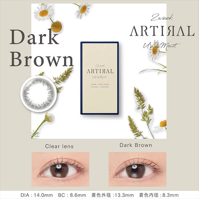 ARTIRAL 2WEEK UVM DARK BROWN(1BOX 6SHEETS) MAIN IMAGE