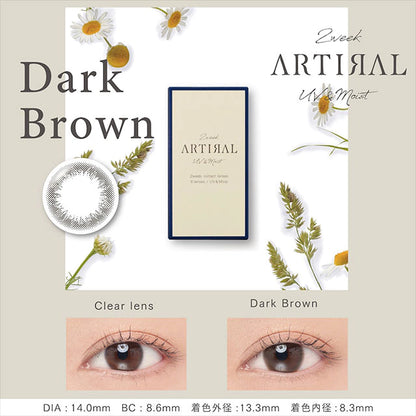 ARTIRAL 2WEEK UVM DARK BROWN(1BOX 6SHEETS) MAIN IMAGE