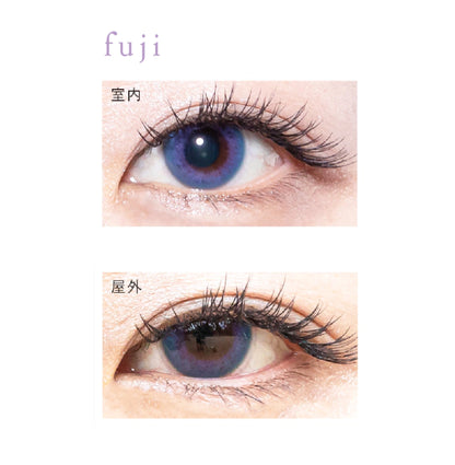 BISHONENGA HANAIRO 1MONTH FUJI(1BOX 2SHEETS) 0
