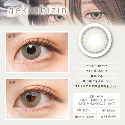 BISHONENGA HANAIRO 1MONTH KETKABIJIN(1BOX 2SHEETS) 0