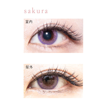 BISHONENGA HANAIRO 1MONTH SAKURA(1BOX 2SHEETS) 0