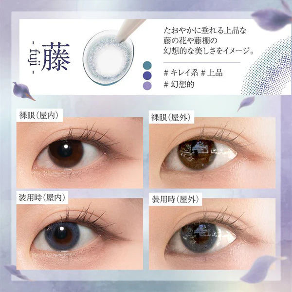 BISHONENGA HANAIRO 1DAY FUJI(1BOX 10SHEETS) 0