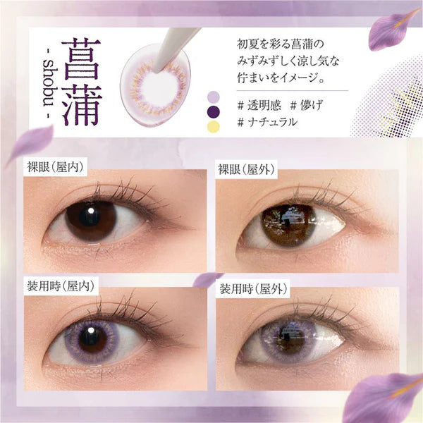 BISHONENGA HANAIRO 1DAY AYAME(1BOX 10SHEETS) 0
