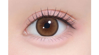 CHAPUN 1DAY KIRAYUME BROWN(1BOX 10SHEETS) 0
