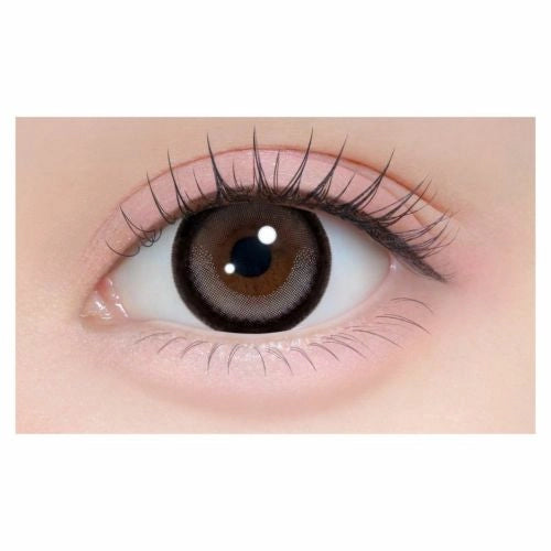 CHAPUN 1DAY TOKITOME GRAY(1BOX 10SHEETS) 0
