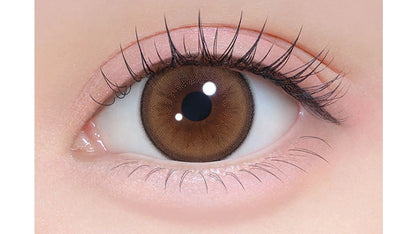 CHAPUN 1MONTH KIRAYUME BROWN(1BOX 2SHEETS) 0