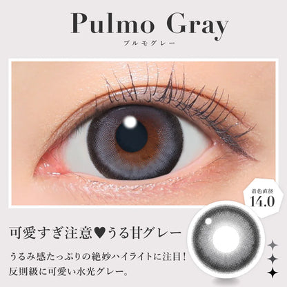 SECRET CANDYMAGIC 1DAY PULMO GRAY(1BOX 20SHEETS) 0