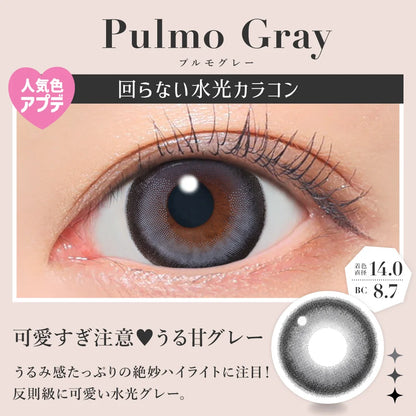 SECRET CANDYMAGIC 1MONTH PULMO GRAY(1BOX 1SHEET) 0