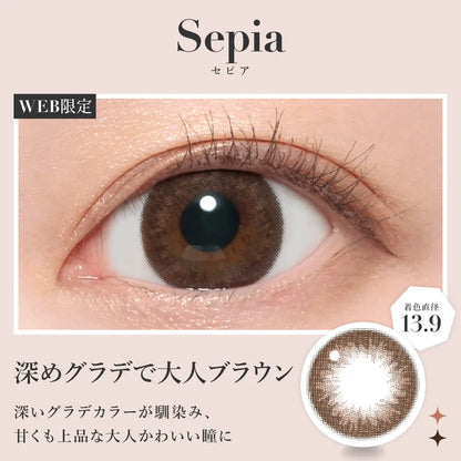 SECRET CANDYMAGIC 1MONTH SEPIA(1BOX 1SHEET) 0