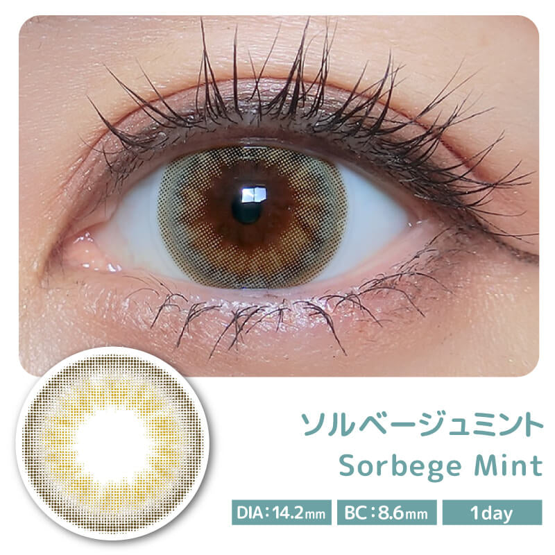 COLOR MAJORITY 1DAY SORBEGE MINT(1BOX 10SHEETS) 0