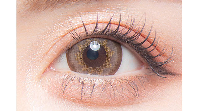 COLORS 1DAY MEGA BROWN(1BOX 10SHEETS) 0