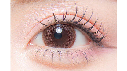 COLORS 1DAY NATURAL WARM BROWN(1BOX 10SHEETS) 0