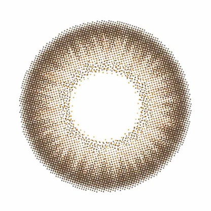 FLURRY 1DAY PEARL LIGHT BROWN(1BOX 10SHEETS) 1