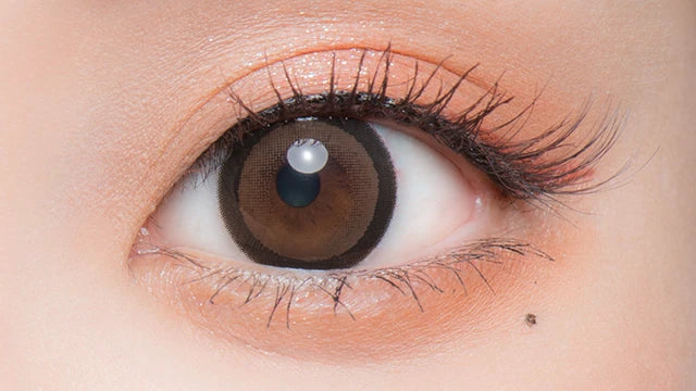 FLURRY 1DAY RING DARK BROWN(1BOX 10SHEETS) 0