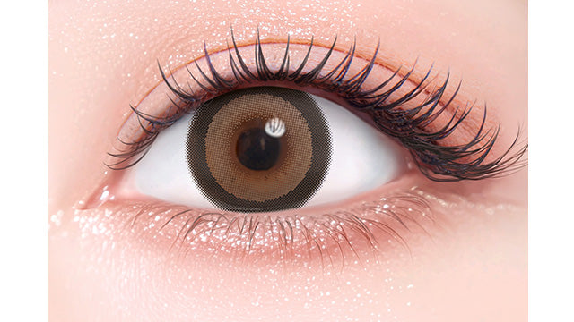 FLURRY TORIC 1DAY RING DARK BROWN CYL-0.75(1BOX 10SHEETS) 0