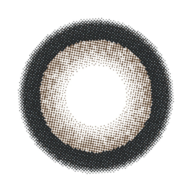 FLURRY TORIC 1DAY RING DARK BROWN CYL-1.25(1BOX 10SHEETS) 1