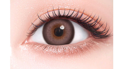 FLURRY 1DAY RING LARGE ASH BROWN(1BOX 10SHEETS) 0