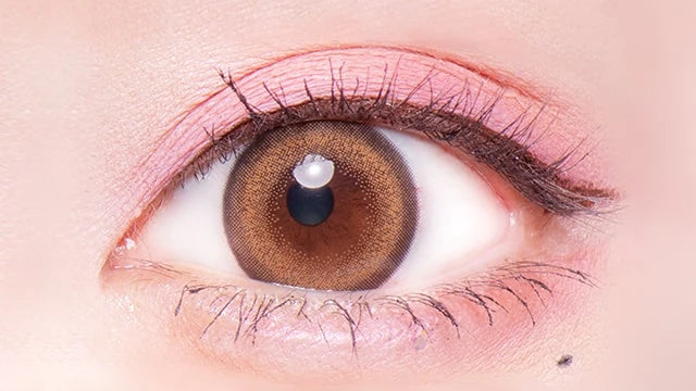 FLURRY 1DAY RING ORANGE BROWN(1BOX 10SHEETS) 0