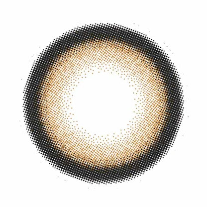 FLURRY 1DAY RING ORANGE BROWN(1BOX 10SHEETS) 1