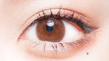 FLURRY 1DAY SHEER BEIGE(1BOX 10SHEETS) 0