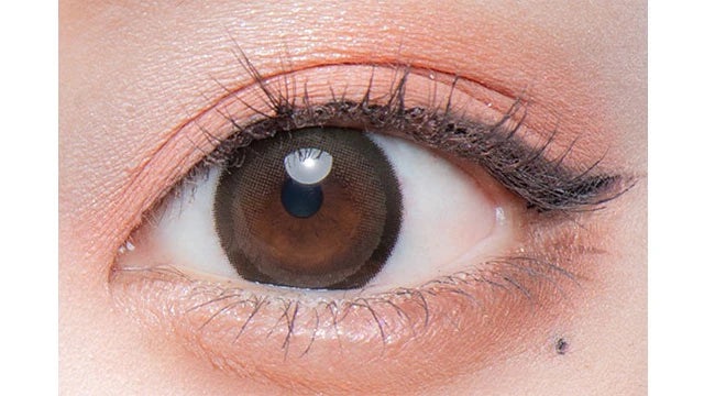 FLURRY MONTHLY RING DARK BROWN(1BOX 3SHEETS) 0