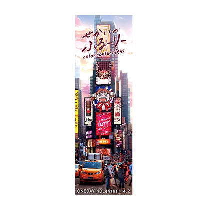 FLURRY 1DAY SEKAINOFLURRY NEWYORK(1BOX 10SHEETS) 2