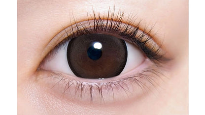 MOTECON ULTRA 1DAY CHORISOU RING BROWN(1BOX 10SHEETS) 0