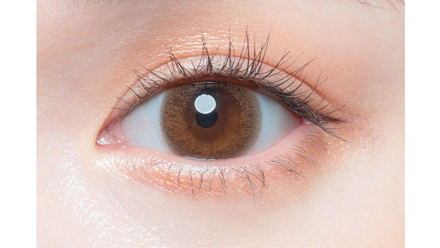 CHU’S ME 1DAY CHIFFON BROWN(1BOX 10SHEETS) 0