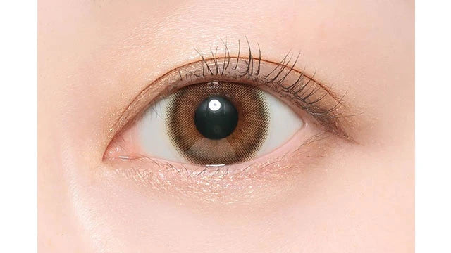 CANDYMAGIC 1MONTH DATE BROWN(1BOX 1SHEET) 1