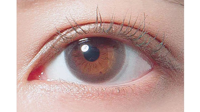 DECORATIVE EYES VEIL CASSIS SHERBET 1DAY(1BOX 10SHEETS) 1
