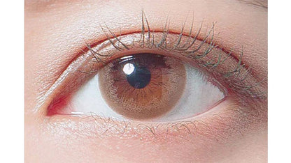 DECORATIVE EYES VEIL CORAL BLOOM 1DAY(1BOX 10SHEETS) 1