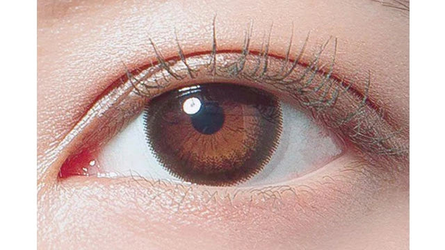 DECORATIVE EYES VEIL DARK MIST 1DAY(1BOX 10SHEETS) 1
