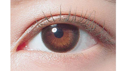 DECORATIVE EYES VEIL DARK MIST 1DAY(1BOX 10SHEETS) 1