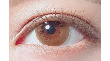DECORATIVE EYES VEIL HONEY GLASS 1DAY(1BOX 10SHEETS) 1