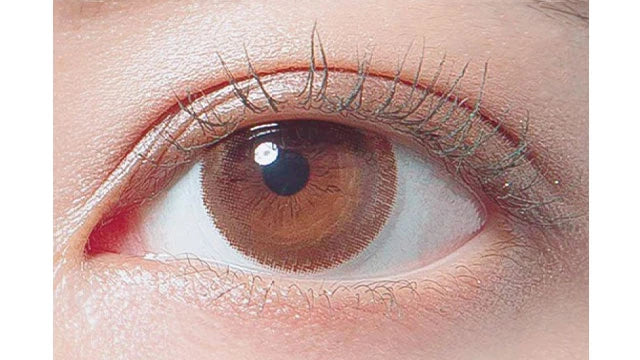 DECORATIVE EYES VEIL LUCEN BRUN 1DAY(1BOX 10SHEETS) 1