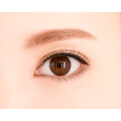 DECORATIVE EYES VEIL ALMOND BEIGE 1DAY(1BOX 10SHEETS) 1