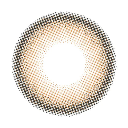 DIYA 1DAY SOPHIA BEIGE(1BOX 10SHEETS) 1