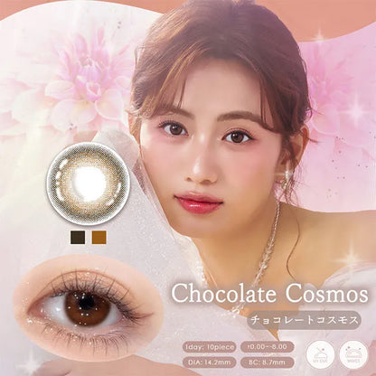 DIYA BLOOM 1DAY CHOCOLATE COSMOS(1BOX 10SHEETS) MAIN IMAGE