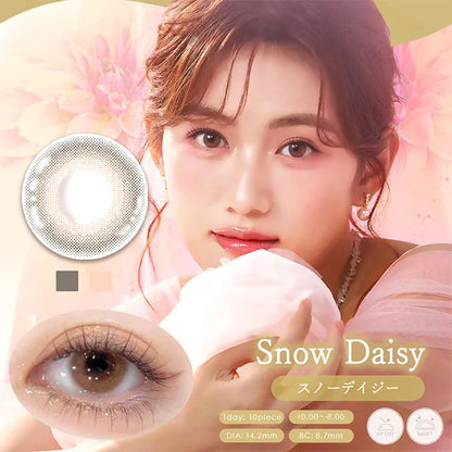 DIYA BLOOM 1DAY SNOW DAISY(1BOX 10SHEETS) MAIN IMAGE